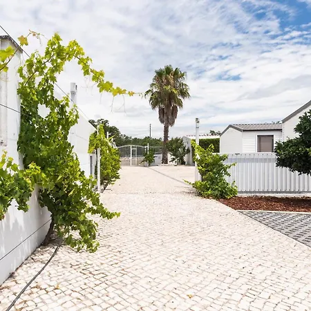 Apartment Guestready - Magalhaes 6 In Penalva *