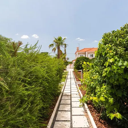 Guestready - Magalhaes 6 In Penalva *